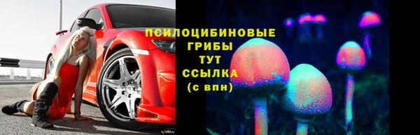 твердый Алексин