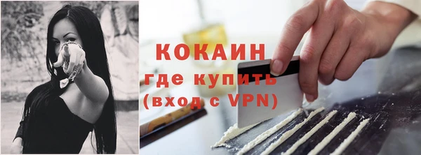 хмурый Абаза