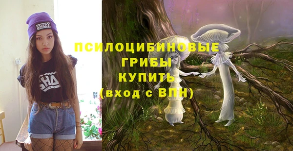 хмурый Абаза
