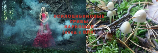 хмурый Абаза